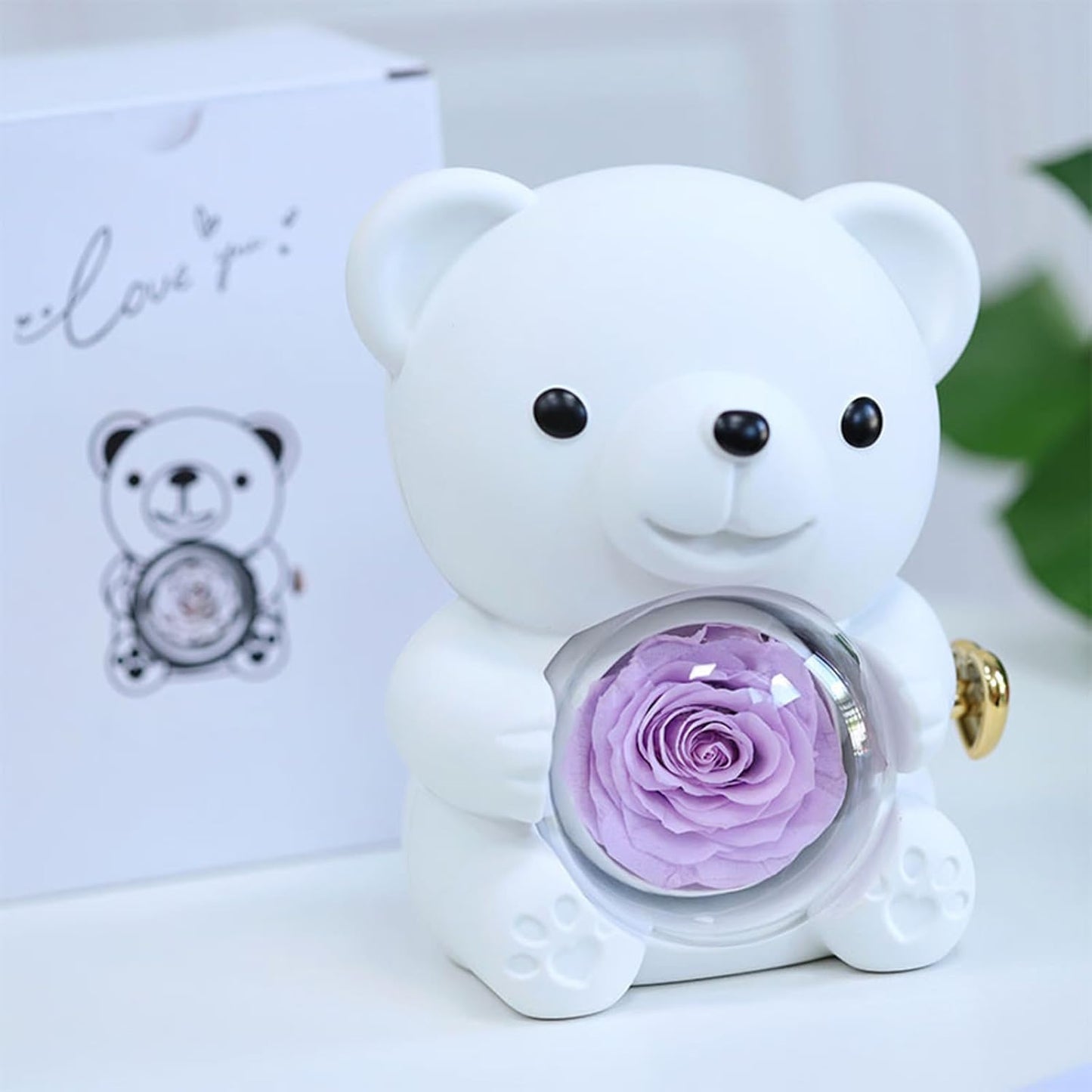 Eternal Rose Bear W/ Necklace